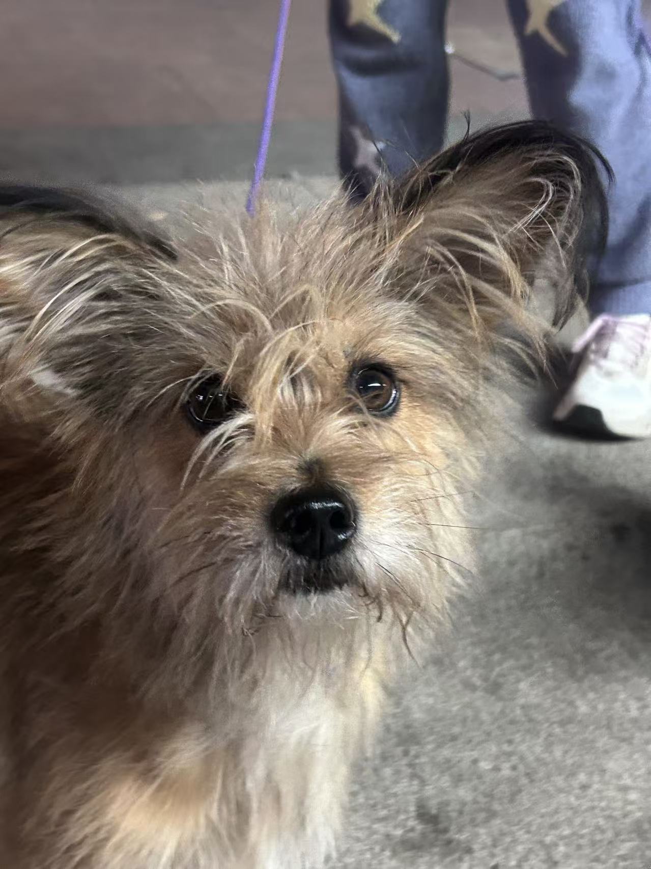 Video by FluffyQueen